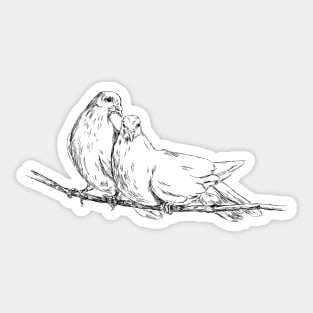 Doves couple Sticker